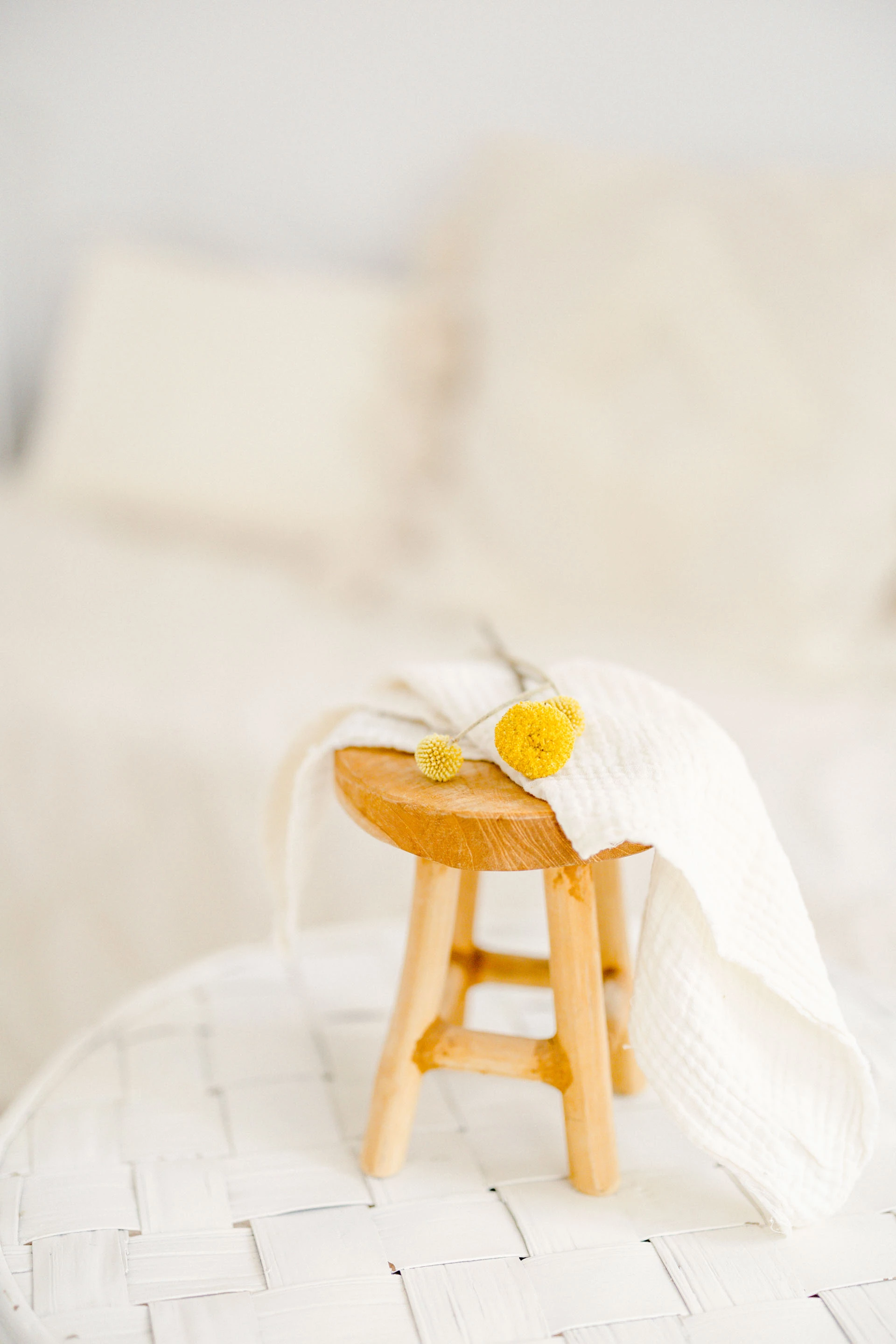 meubles artisanat laine jouet plante d'intérieur